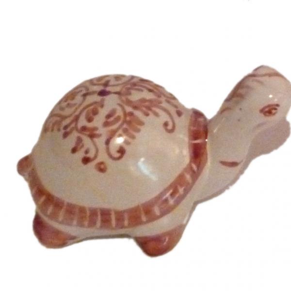 Tartaruga - Collezione Rosè